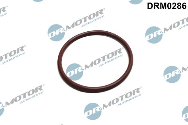 DR.MOTOR AUTOMOTIVE tarpiklis, degalų siurblys DRM0286